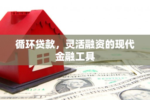 西盟循环贷款，灵活融资的现代金融工具