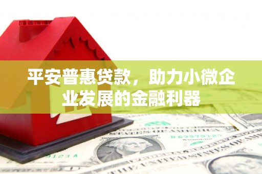 西盟平安普惠贷款，助力小微企业发展的金融利器