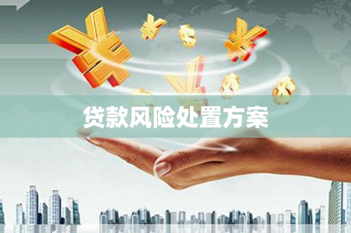 西盟贷款风险处置方案