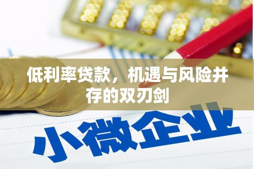 西盟低利率贷款，机遇与风险并存的双刃剑