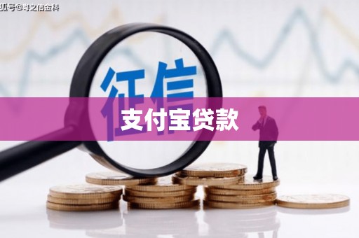 西盟支付宝贷款