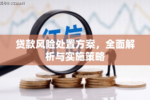 西盟贷款风险处置方案，全面解析与实施策略