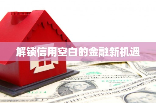 西盟解锁信用空白的金融新机遇
