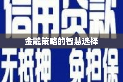 西盟金融策略的智慧选择