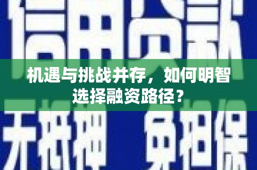 西盟机遇与挑战并存，如何明智选择融资路径？