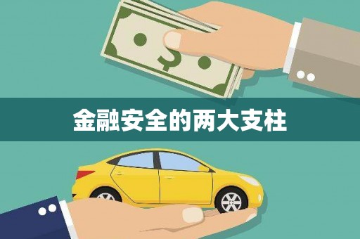 西盟金融安全的两大支柱