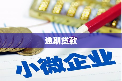 西盟逾期贷款