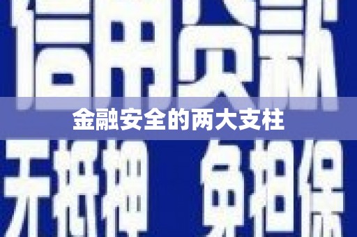 西盟金融安全的两大支柱